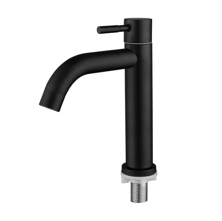 Wall Mounted Kitchen Faucet Single Cold Faucet Stainless Steel