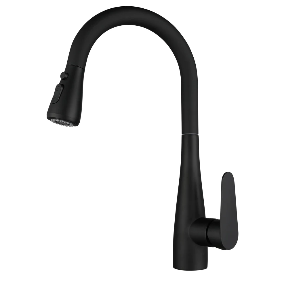 Landonbath Matte Black Stainlsess Steel SUS304 Kitchen Faucet